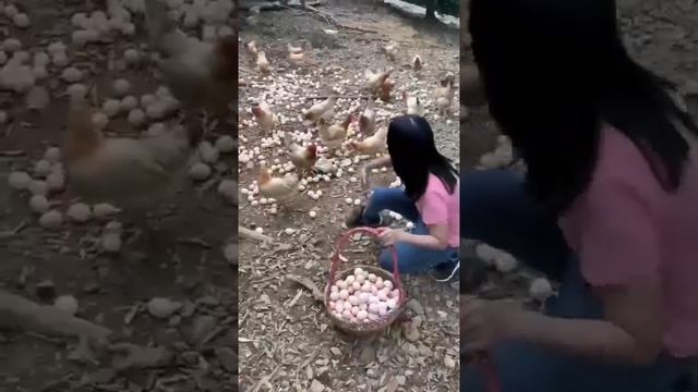 Лайфхаки для дачи и огрода