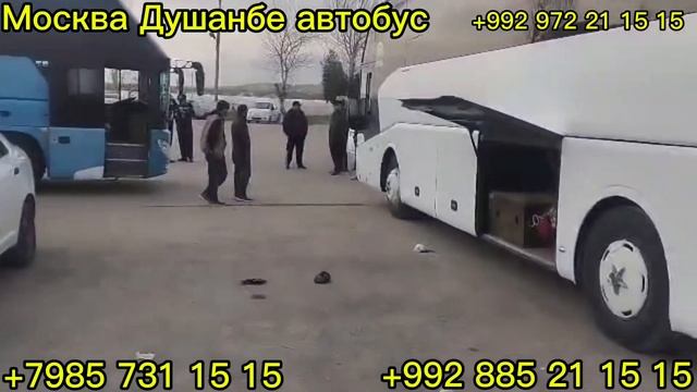 #бахтар#москва##автобус#бахтар#Екатеринбург#автобус#Н?