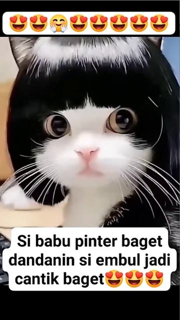 КАКАЯ КИСА КРАСОТУЛЯ