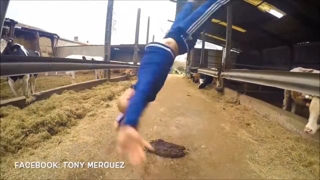 ФРИСТАЙЛО