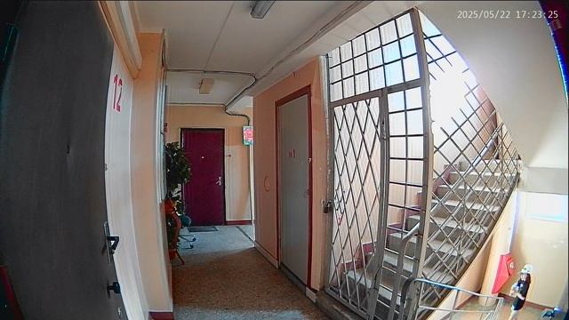 Деточкин тоже любил детей