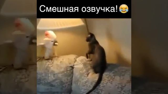 Ещё один прикол))