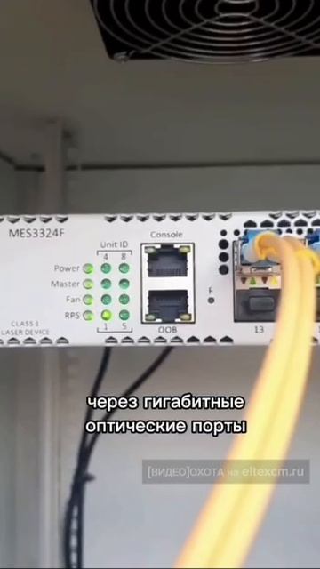 Коммутатор агрегации MES3324F Eltex. Видео[Охота] на eltexcm.ru