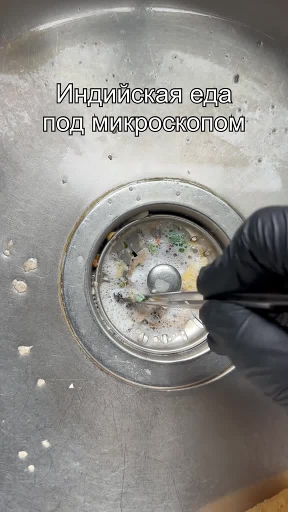 #интересно #микроскоп #микромир #наука #подмикроскопом
