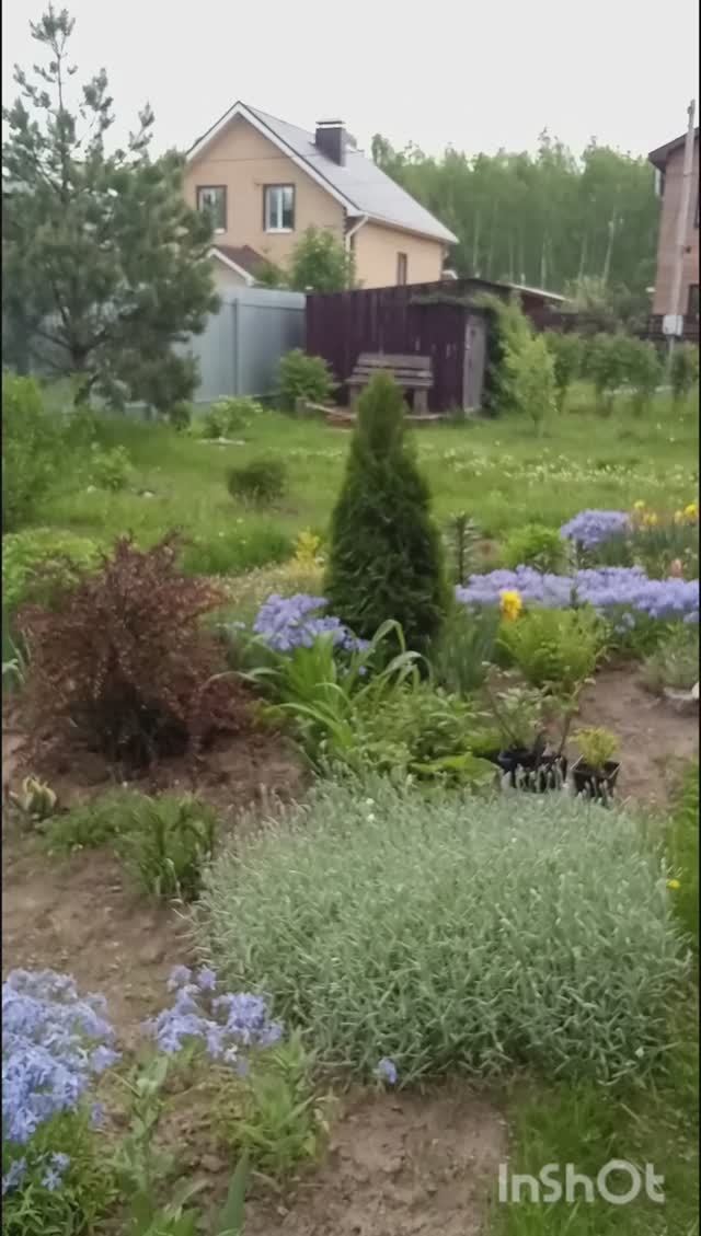 Мой сад .Цветение в конце мая.Обзор.🌺🌺🌺#садоводство#загороднаяжизнь