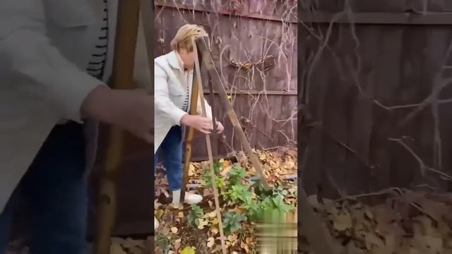 Лайфхак для дачи на каждый день