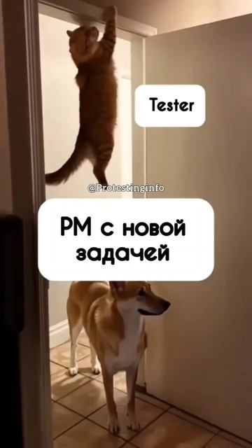 Кто хочет больше работы?
#qa #тестировщик
Подписаться на телеграм канал https://t.me/protestinginfo