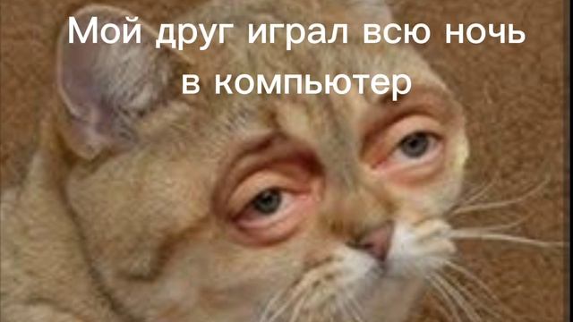прикол