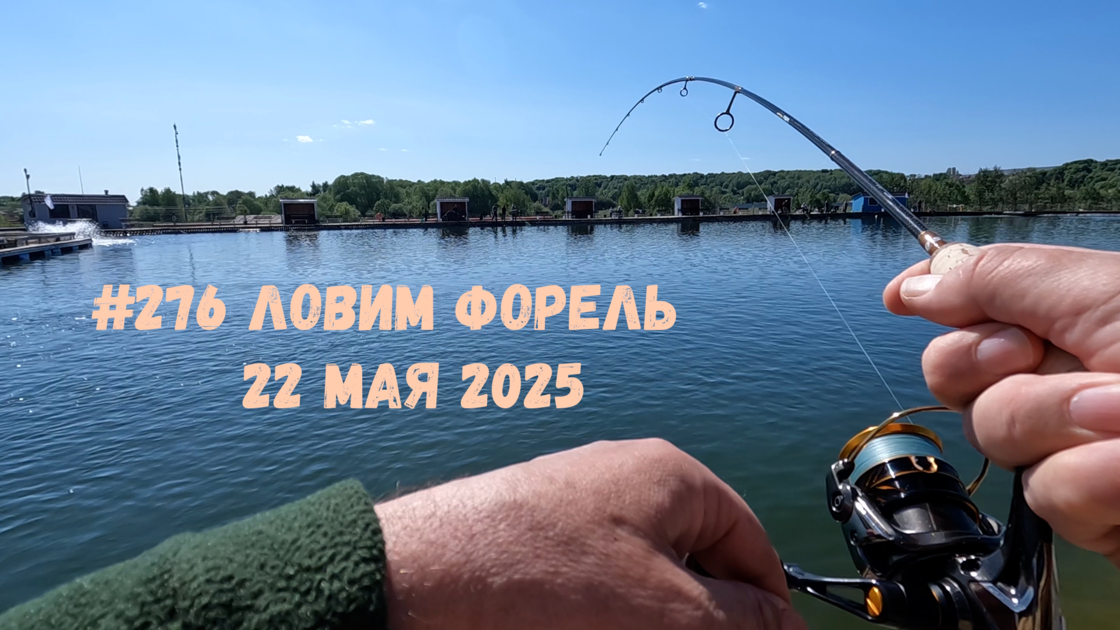 #276 Ловим форель 22 мая 2025