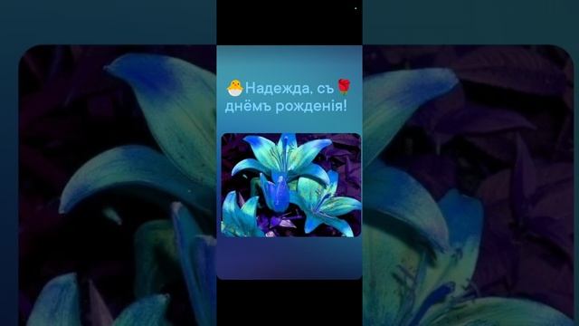 🐣Надена день рожд., 🌹моѣ стiхоТВОРЕНИѣ, Таня ШiШкина-Чугайнова, ЗАТО п. Сибiрскийъ, АЛтайскийъ кр.
