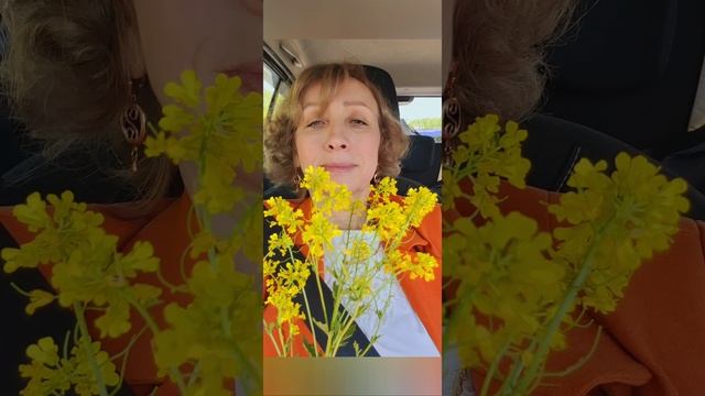 Веселое путешествие!🤩