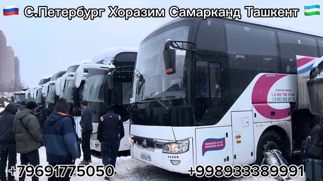 ￼￼ Санкт-Петербург Хоразим автобус Санкт-Петербург С