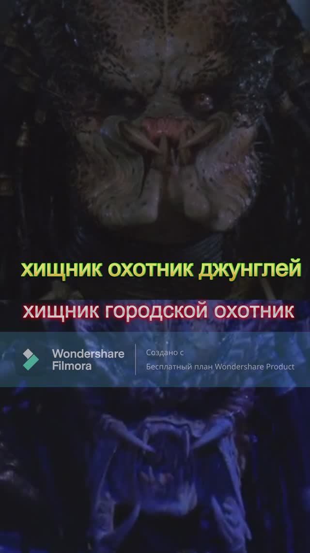 Хищник, охотник джунглей против хищник, городской охотник.