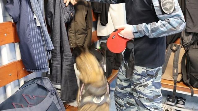 Полиция пришла в два бойцовских клуба, расположенных в Апраксином переулке и на Непокоренных.