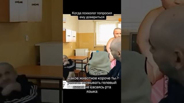 Мопс - Гелевый писюн с яичками