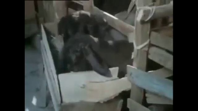 ГР. Икбол Дарёи Сир