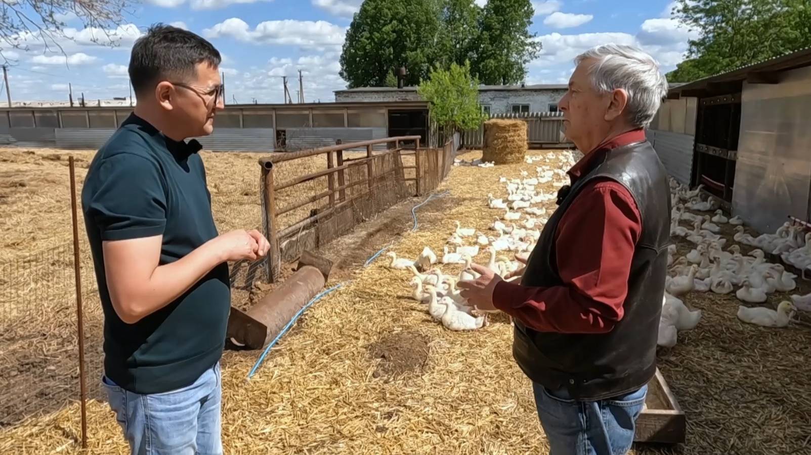 Хәйерле иртә, Республика! - 23.05.2025 Ихатаны йәмләр мәл