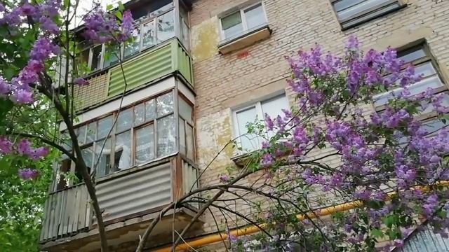 Сиреневые кисти