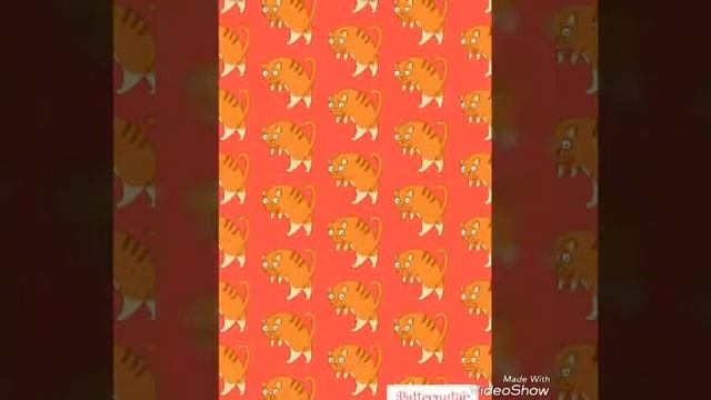Котики заставки!!!