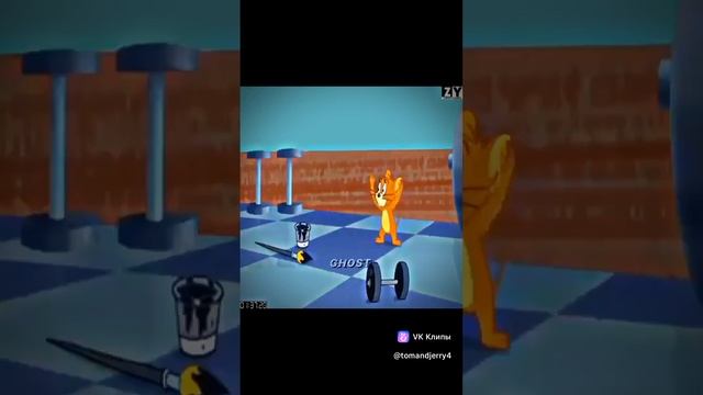 1000003752.mp4