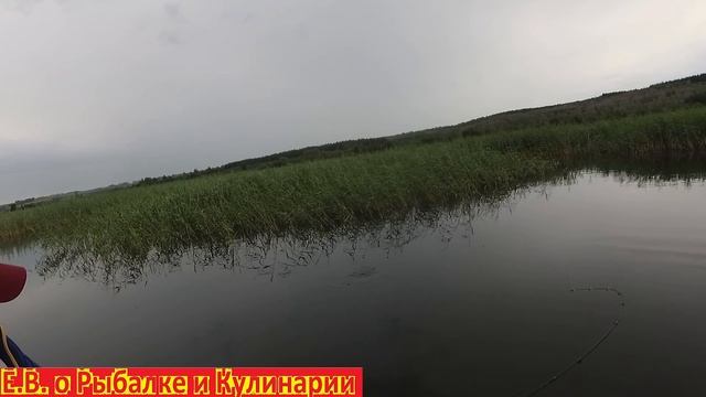ВОТ ЭТО ДА ЛОВИМ ГИГАНТСКУЮ КРАСНОПЕРКУ ВЕЛИКАНА НА МОРМЫШИНГ, ПРИ ПОКЛЕВКЕ Я ЧУТЬ НЕ ВЫЛЕТЕЛ ИЗ ЛОД