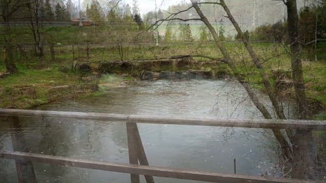 Дорога в усадьбу Абрамцево