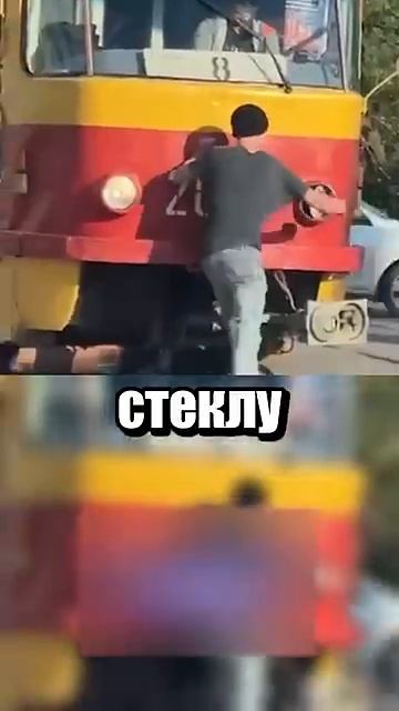 i11ushenka (204)