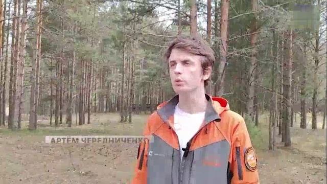 С наступлением теплой погоды люди стали чаще отправляться в лес.