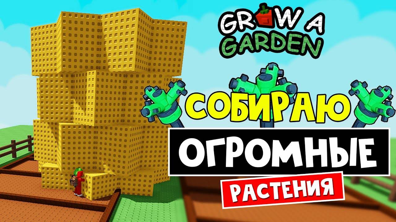 3 МАСТЕР СПЛИНКЕРА сразу в Вырасти сад роблокс  Grow a Garden roblox  Выращиваю ОГРОМНЫЕ растения