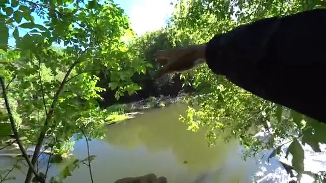 КЛЮНУЛО ЧТО ТО НЕОБЫЧНОЕ И ПРЁТ КАК ПАРОВОЗ! ЗАБРАЛСЯ В ДЕБРИ ЛЕСНОЙ РЕКИ! Рыбалка на спиннинг 2024.