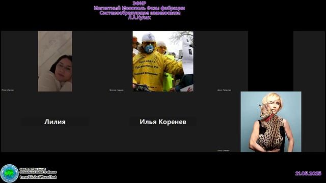 ЭФИР-Магнитный Монополь-Фазы фибрации-Системообразующие взаимосвязи-Л.А.Кулак-Глобальная волна