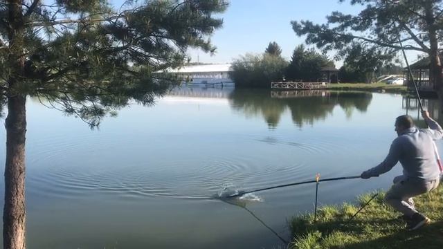 поимка карпа на большом водоёме