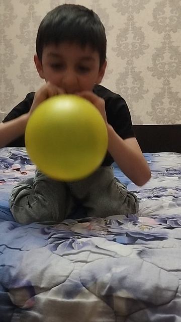 шарик.mp4