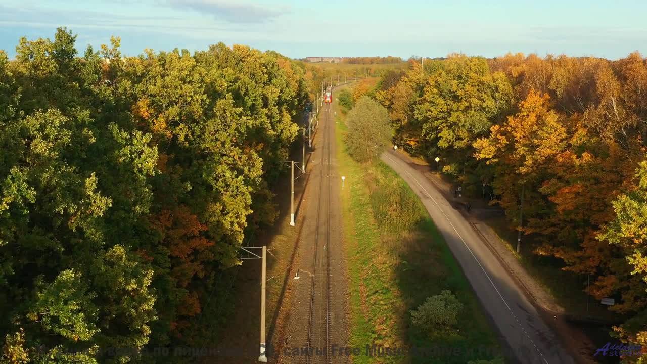 Что скрывается под этой рябью - Plastic Ferraille -- Ayato + Kecap Tuyul -- Flowers in the Trashbin