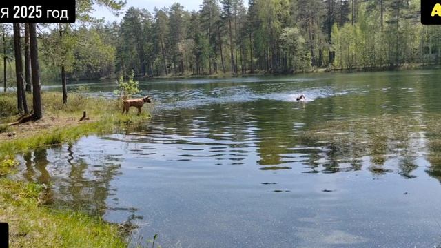 23 МАЯ 2025 #юныйпрадедбодрыцдед