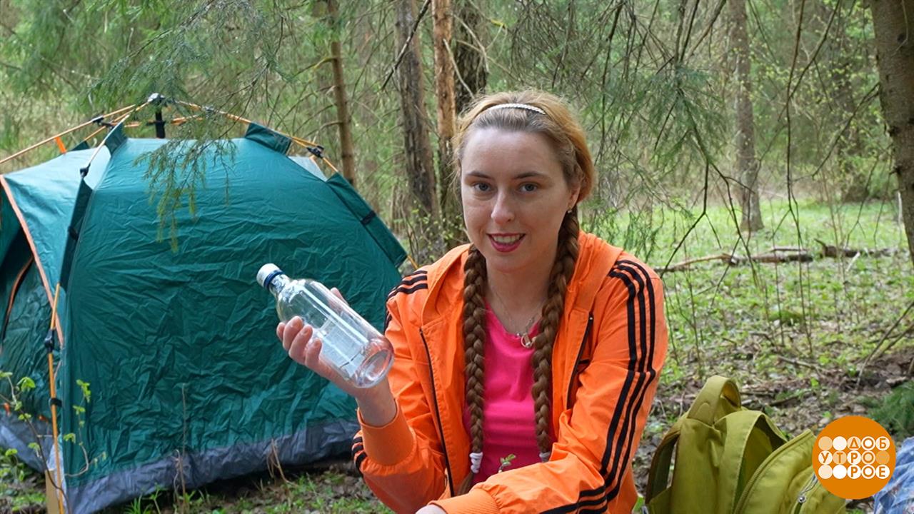 Поход в лес: чтобы не было пожара. Доброе утро. Фрагмент выпуска от 23.05.2025
