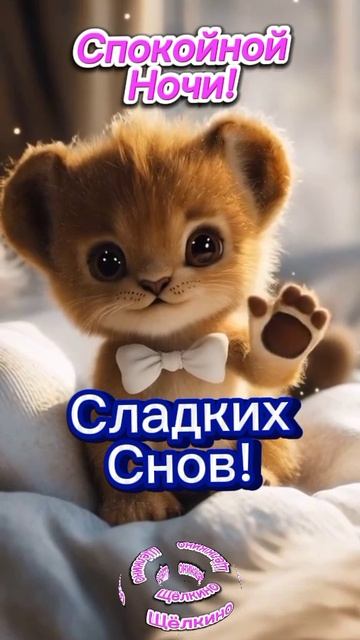 Сладких снов. Доброе утро. ВидеоОткрытка