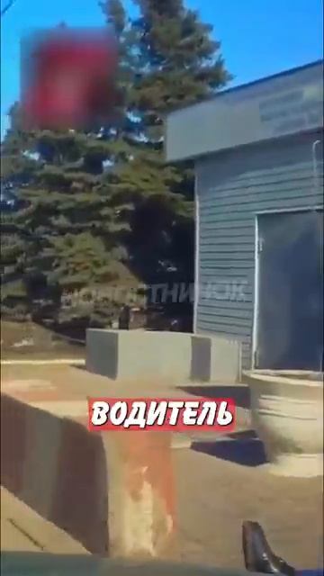Новостничок (553)