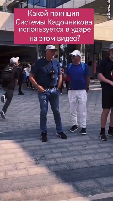 Система боевого выживания Кадочникова. Вопрос на экране.