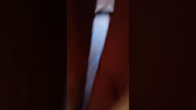 Никита жульен