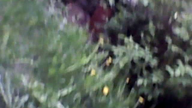 В Перми впустил дрон е88