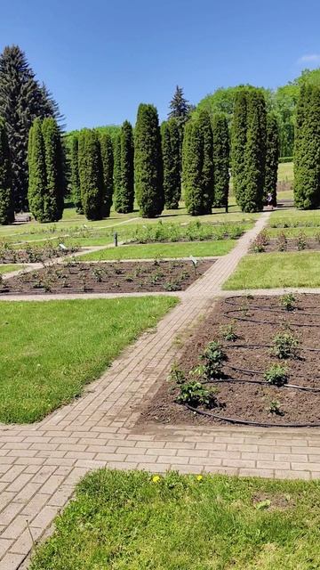 Кисловодск. Долина роз в конце мая