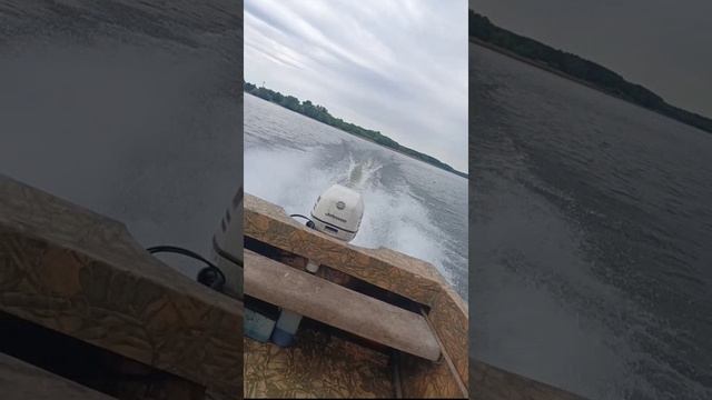 отличное сочитание касатка 520 + Джонсон 90