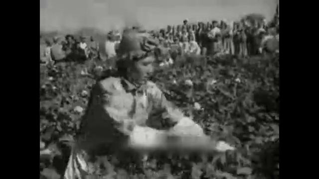 1948 Новости дня № 46 сентябрь Soviet newsreel News of the Day (кинохроника).