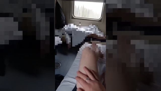 Живыми доехали не все...