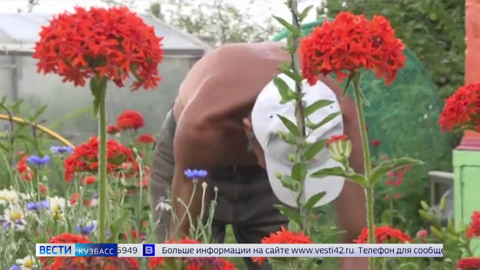 Мошка проснулась: кузбассовцам рассказали, как не стать жертвой аллергических реакций