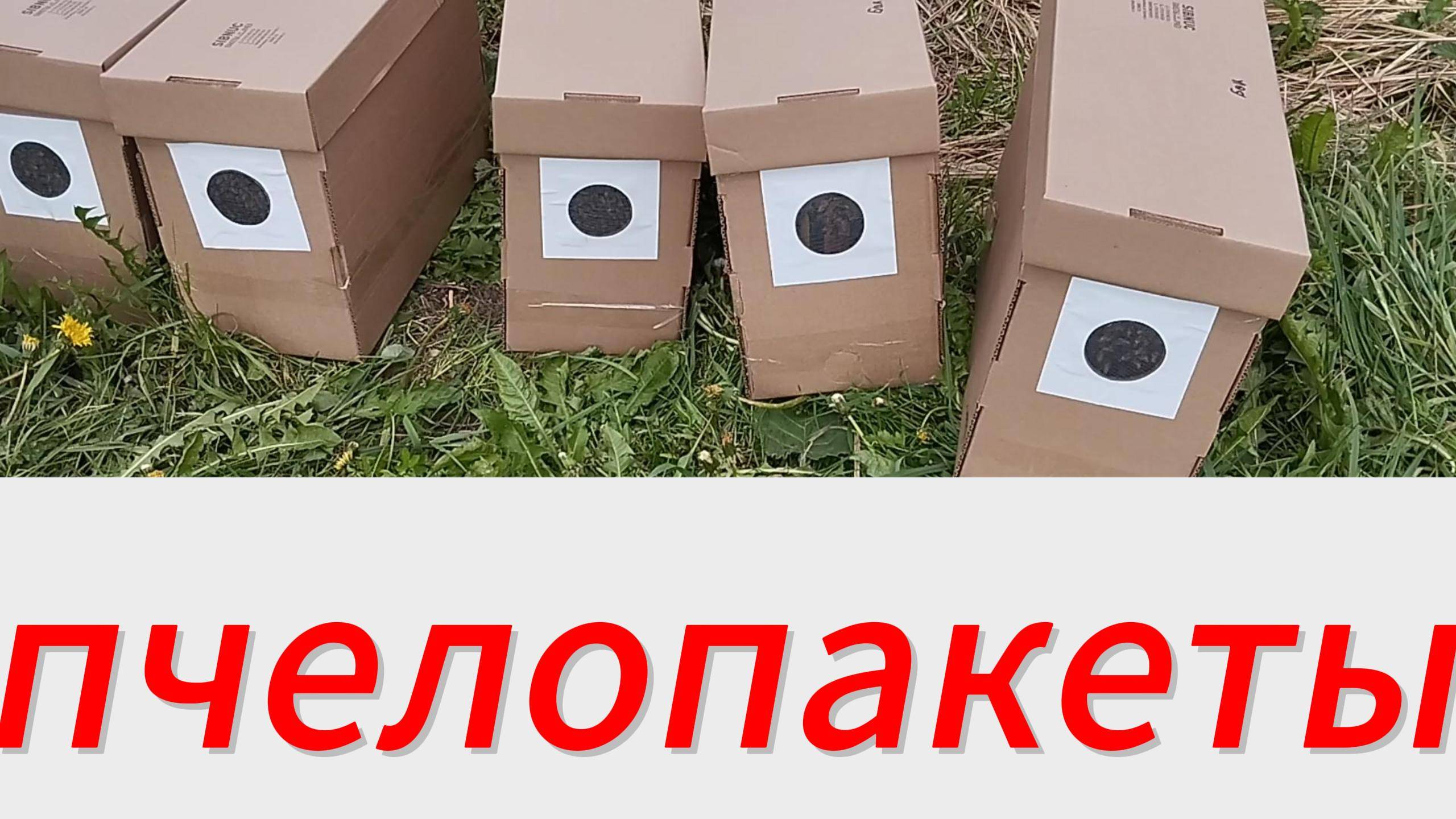 отзывы на тару под пчелопакеты #пчеловодство