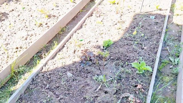 СЧАСТЛИВАЯ ЖИЗНЬ В ДЕРЕВНЕ/НАСЛАЖДАЮСЬ КАЖДОЙ МИНУТОЙ ПРОВЕДЁННОЙ В ЛЮБИМОЙ ДЕРЕВНЕ/ЛЮБОВЬ К ПРИРОДЕ