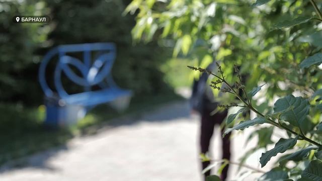 Что известно о благоустройстве Сиреневого бульвара в Барнауле