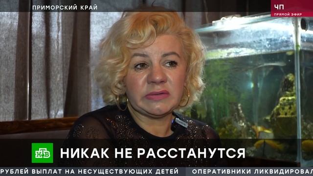 «ЧП»： 14 апреля 2025 года ｜ «Чрезвычайное происшествие»